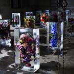 ART : Iced Flowers by Azuma Makoto ART : Iced Flowers by Azuma Makoto