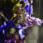 ART : Iced Flowers by Azuma Makoto ART : Iced Flowers by Azuma Makoto