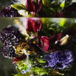 ART : Iced Flowers by Azuma Makoto ART : Iced Flowers by Azuma Makoto
