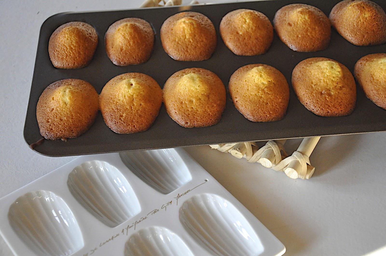 Envie de madeleines Envie de madeleines