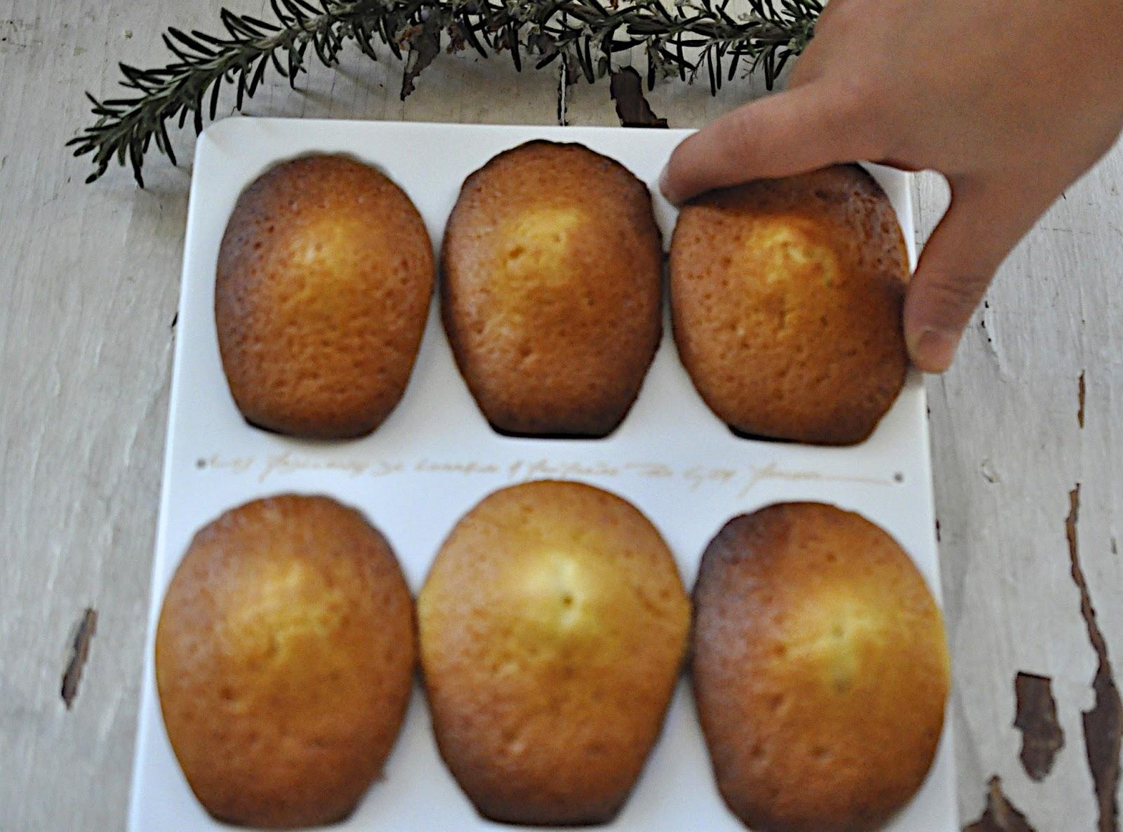 Envie de madeleines Envie de madeleines