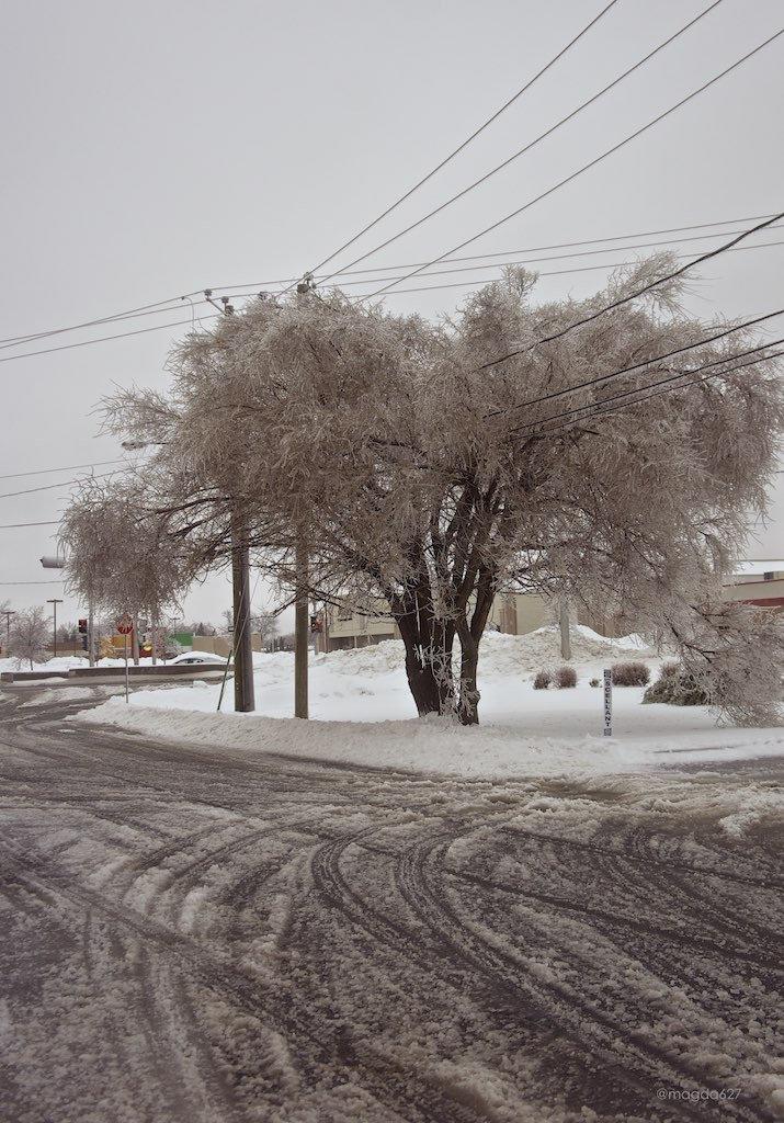 Mon pays c'est le verglas... parfois.... anteketborka.blogspot.com, verglas 3