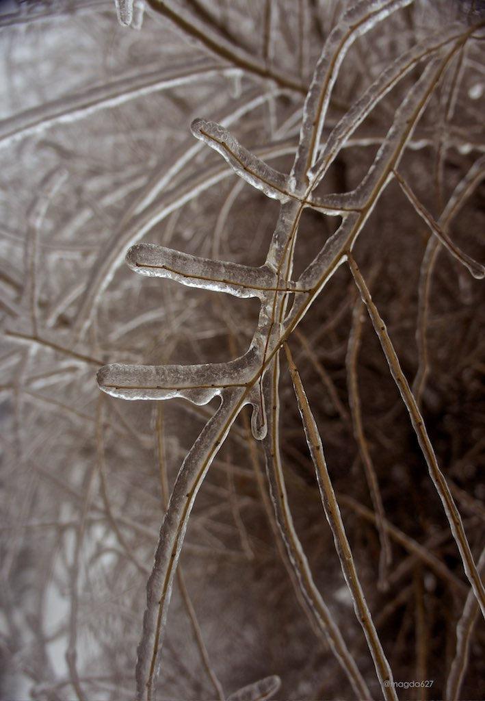 Mon pays c'est le verglas... parfois.... anteketborka.blogspot.com, verglas 7