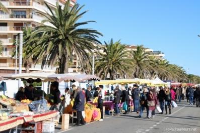 Marché de Fréjus Marché de Fréjus