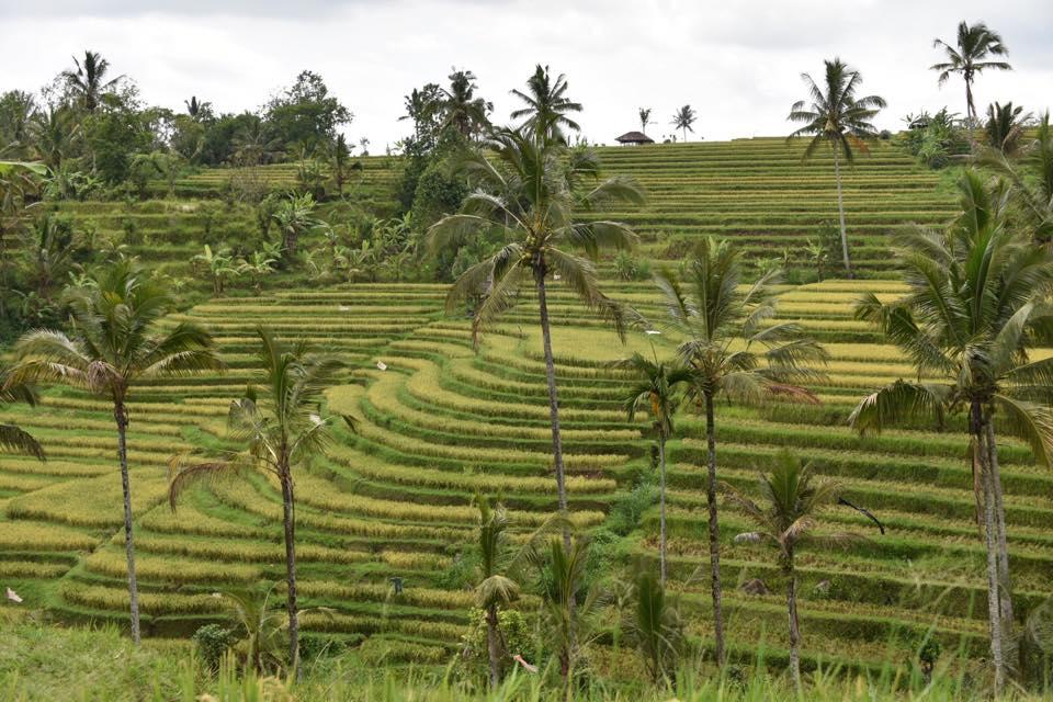 Sur les traces d’un tour du monde en haute définition