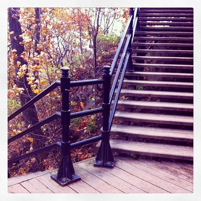Mont Royal montréal escaliers parc