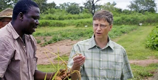 La fondation Gates ferait le choix des OGM en Afrique