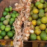 Cuba La Havanne Marche Veg Cuba La Havanne Marche Veg
