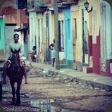 Cuba Trinidad Couleurs Maisons Cheval
