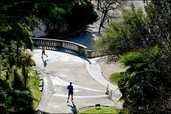 Des arbres et des crayons Jardins de la Fontaine, Nîmes, Parcs, Jardins publics, arbres, pins, cèdres, poissons, nymphée, couleurs, expo photo, Negpos, Images et Ville