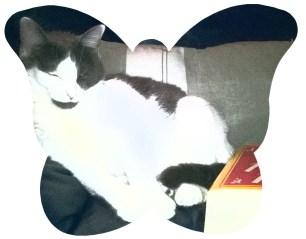 Une place à prendre Joe1placeàprendre