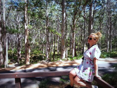 Le jour où j’ai nourri des raies à Hamelin Bay Hamelin Bay giant trees Pauline