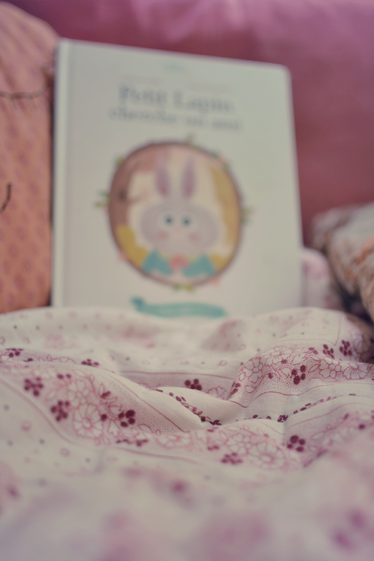 Livre Jeunesse : Petit Lapin cherche un ami Livre Jeunesse : Petit Lapin cherche un ami