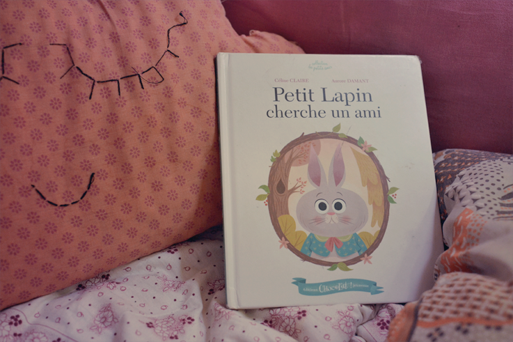 Livre Jeunesse : Petit Lapin cherche un ami Livre Jeunesse : Petit Lapin cherche un ami