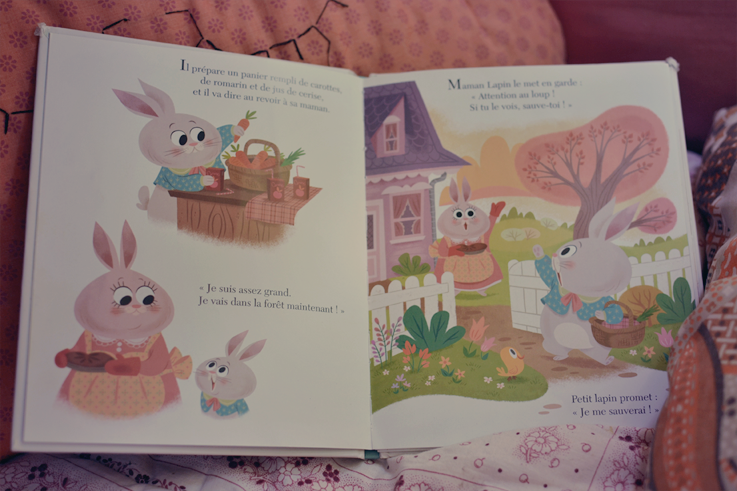 Livre Jeunesse : Petit Lapin cherche un ami Livre Jeunesse : Petit Lapin cherche un ami