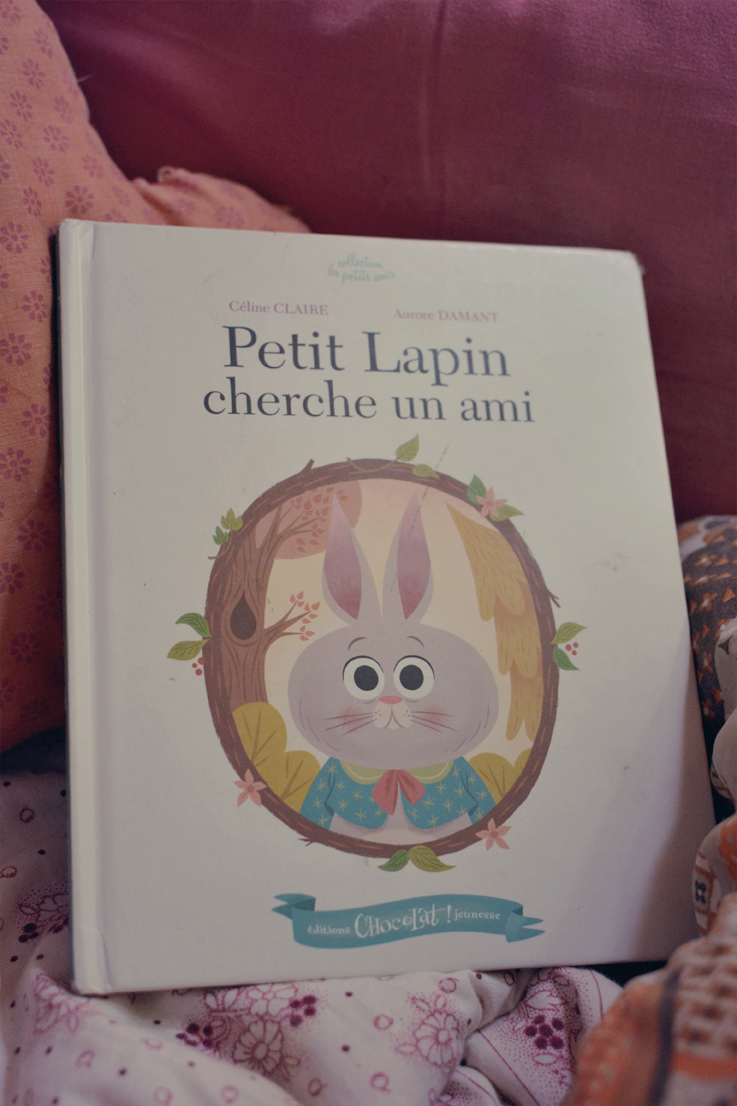 Livre Jeunesse : Petit Lapin cherche un ami Livre Jeunesse : Petit Lapin cherche un ami