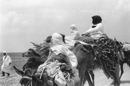 Algérie – Hauts-Plateaux, années 70 © Françoise Saur