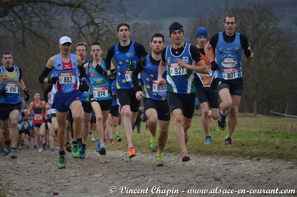 Championnat d’Alsace de Cross Country 2015: Un p’tit Gregory peut en cacher un grand ! Championnat d’Alsace de Cross Country 2015: Un p’tit Gregory peut en cacher un grand !