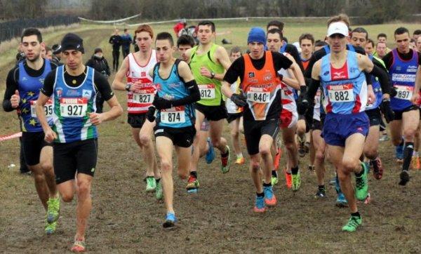 Championnat d’Alsace de Cross Country 2015: Un p’tit Gregory peut en cacher un grand ! Championnat d’Alsace de Cross Country 2015: Un p’tit Gregory peut en cacher un grand !