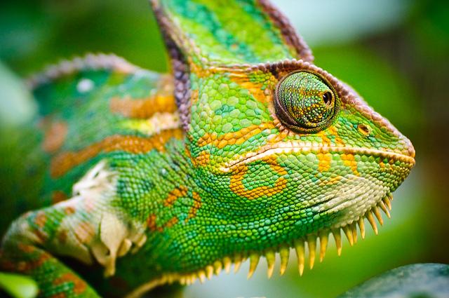 Choisir sa destination pour mieux préparer ses randonnées à Madagascar madagascar1
