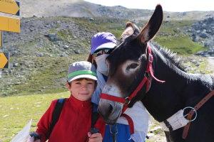 En compagnie d'un âne : un tour du Queyras (Hautes-Alpes) En compagnie d'un âne : un tour du Queyras (Hautes-Alpes)