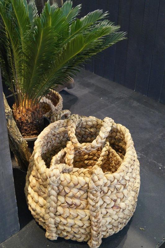 make me feel good # M&O DSC03316-012