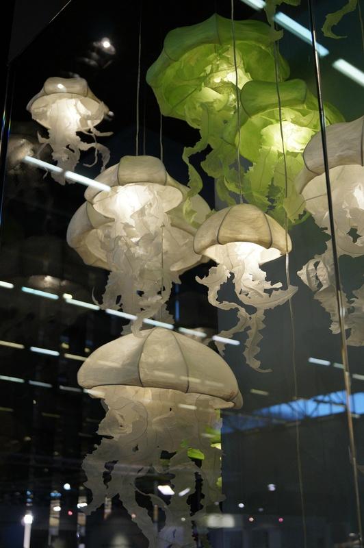 make me feel good # M&O DSC03307-010