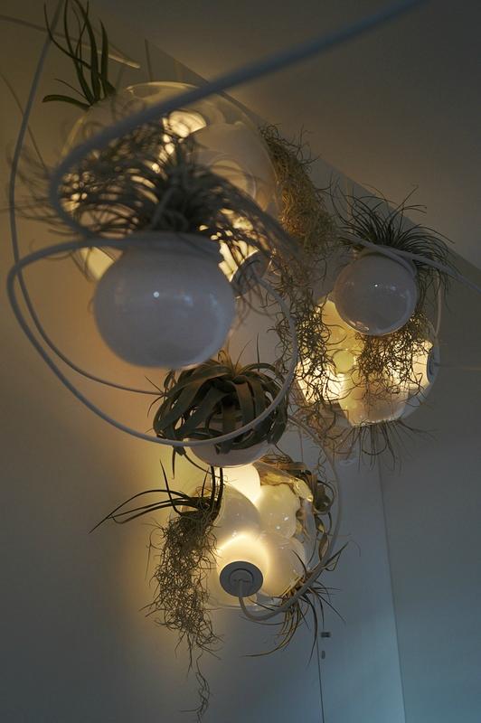 make me feel good # M&O DSC03426-024