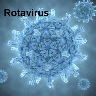 #thelancetinfectiousdiseases #vaccination #pédiatrie #gastroentérite #rotavirus #RV1 Efficacité d’un vaccin antirotavirus monovalent chez des enfants en bas âge au Malawi après mise en place d’un programme : étude par observation de comparaison avec té...