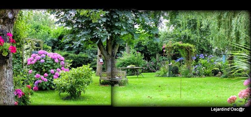 Rétro de Juillet... Rétro de Juillet...