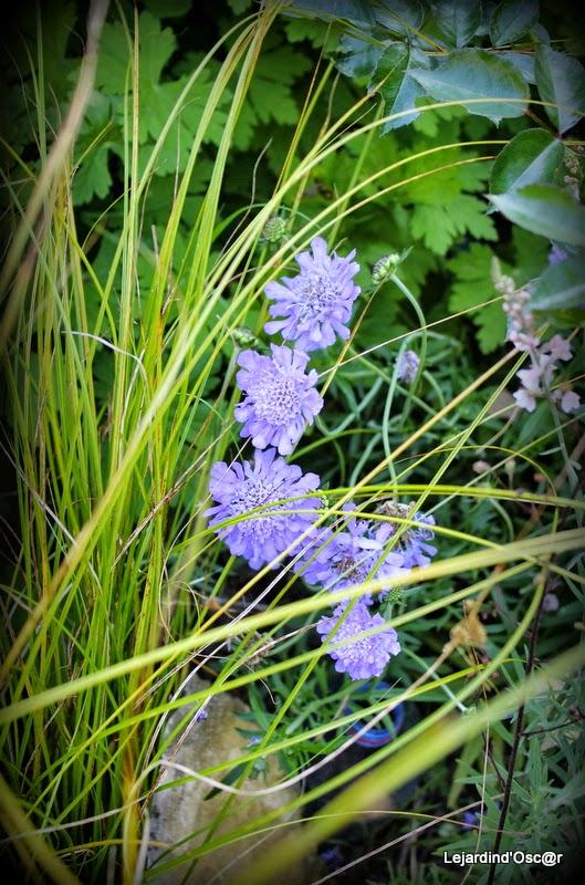 Rétro de Juillet... Rétro de Juillet...