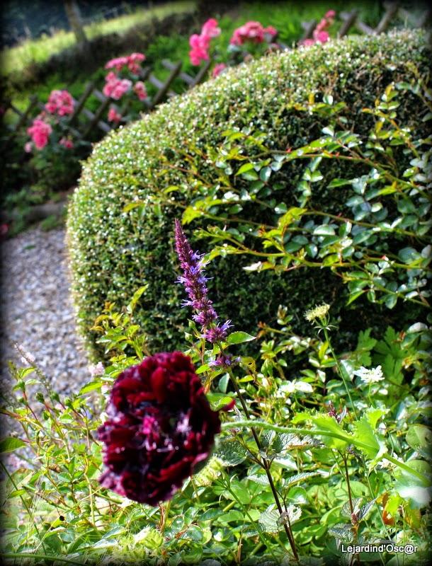 Rétro de Juillet... Rétro de Juillet...