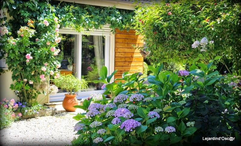 Rétro de Juillet... Rétro de Juillet...