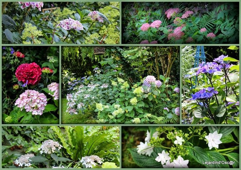 Rétro de Juillet... Rétro de Juillet...