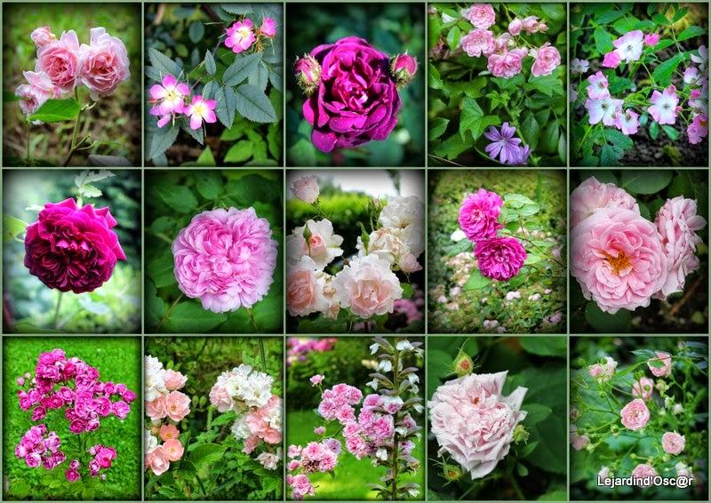 Rétro de Juillet... Rétro de Juillet...