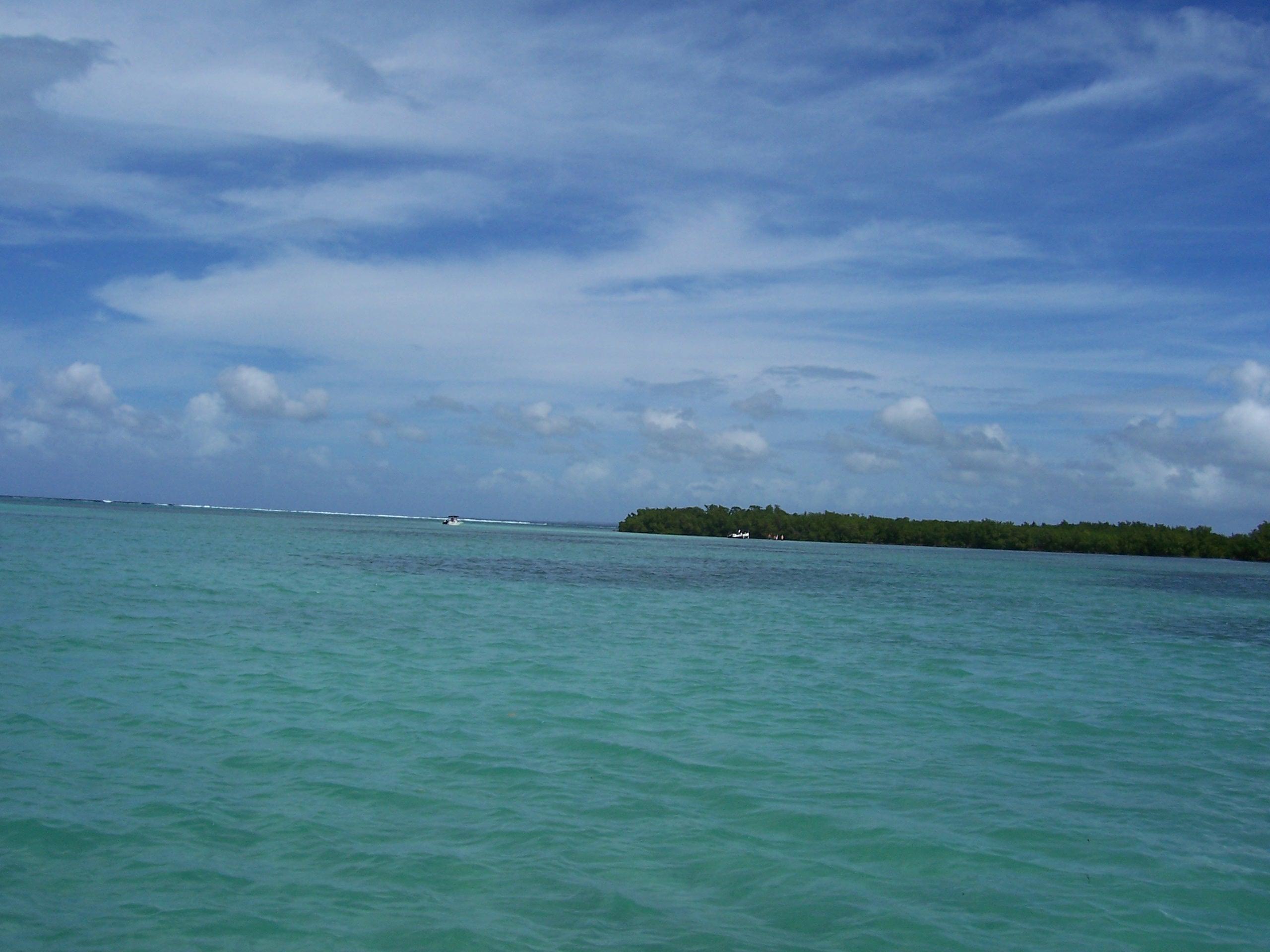Le Marais de Dominique Guesde ! Le Marais de Dominique Guesde !