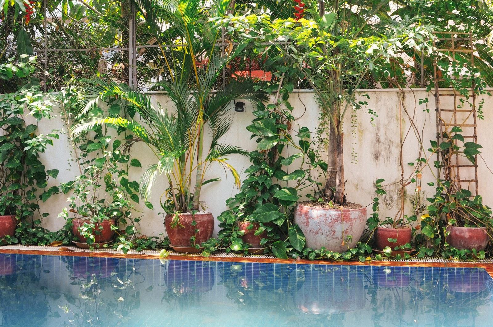 The Little Garden, Phnom Penh The Little Garden, Phnom Penh