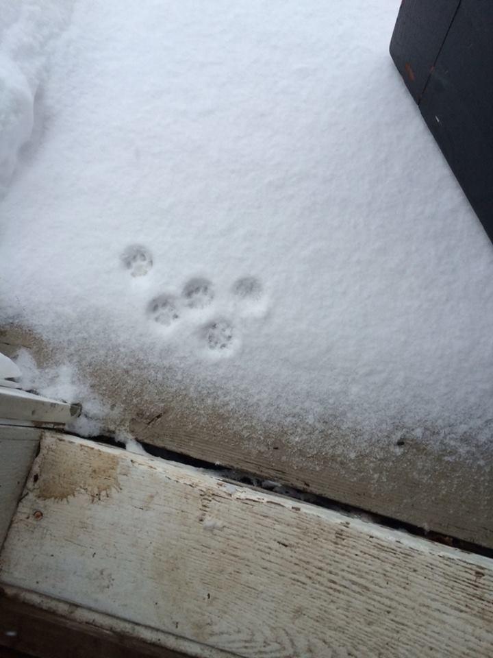 Jour de neige Jour de neige
