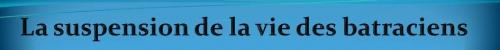 HIBERNATION ET VIE SUSPENDUE 71..80 enterré vivant,hibernation,fakir,obe,nde,léthargie,coma,miracle,benghoubey,mirin dayo,science,inexplique,paranormal,insolite,véridique,histoire vraie,douleur,insensible,insensibillisation