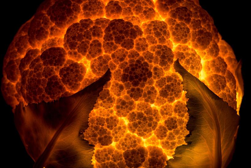 Il transforme des fruits et légumes en source lumineuse ! Radu-Zaciu-1