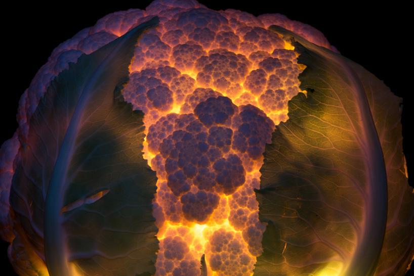 Il transforme des fruits et légumes en source lumineuse ! Radu-Zaciu-2