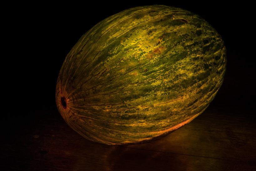 Il transforme des fruits et légumes en source lumineuse ! Radu-Zaciu-3