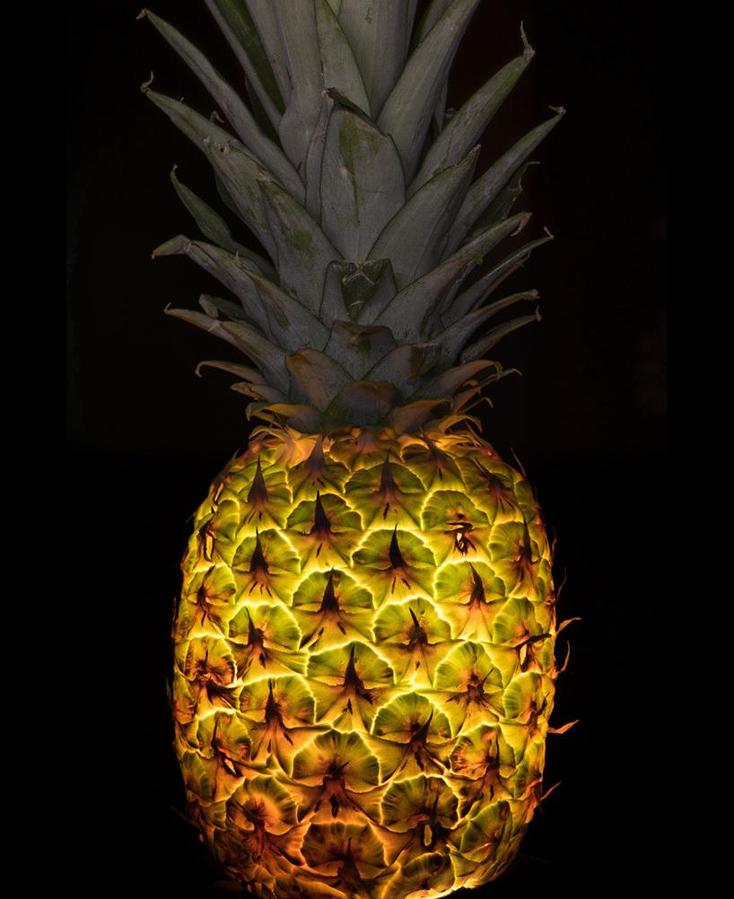 Il transforme des fruits et légumes en source lumineuse ! Radu-Zaciu-5