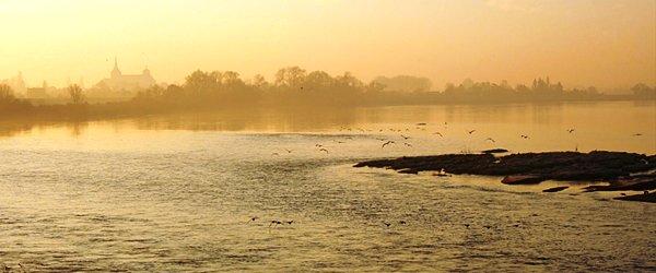 Loire – Parenthèse nature dans un gîte écologique Loire – Parenthèse nature dans un gîte écologique
