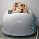 LA CONNERIE DU JOUR : Le Selfie Toaster !