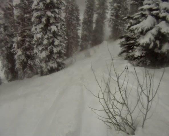 Alors que persiste le manque de neige ... Alors que persiste le manque de neige ...