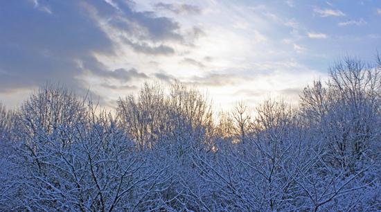 Jour de neige dans mon bled de Normandie neige15
