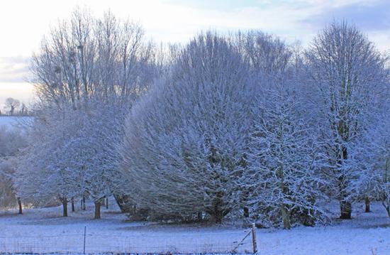 Jour de neige dans mon bled de Normandie neige14