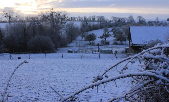 Jour de neige dans mon bled de Normandie neige09