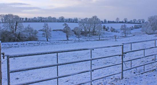 Jour de neige dans mon bled de Normandie neige07